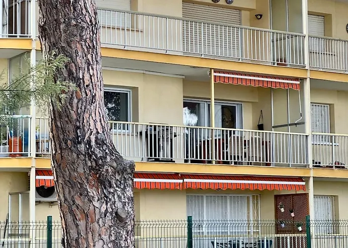 Apartment Elegant Beachfront Escape Private & Peaceful